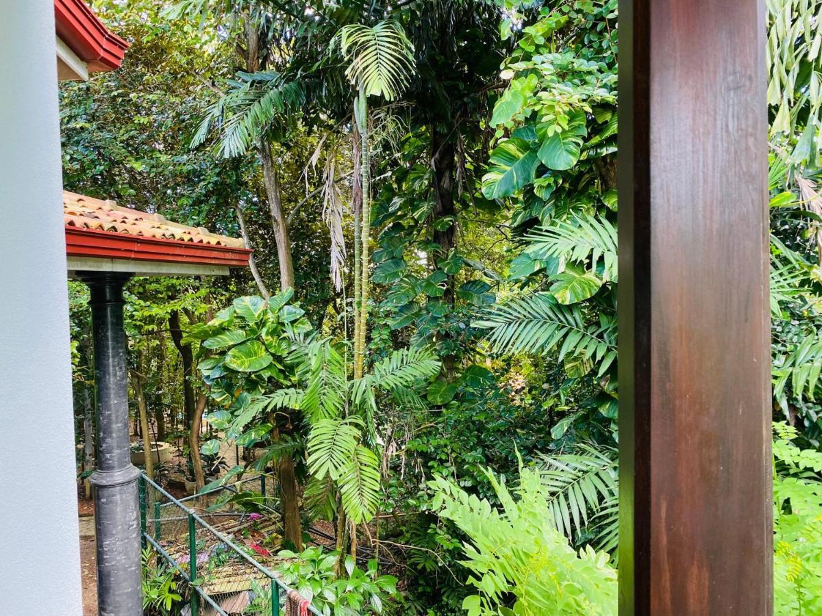 Nature Will Ahangama Exterior photo