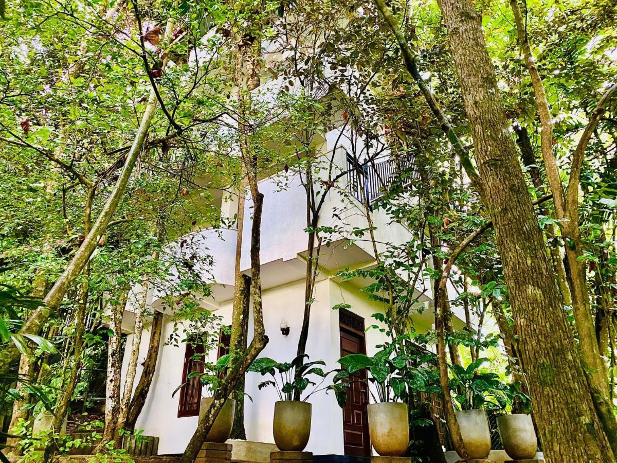 Nature Will Ahangama Exterior photo