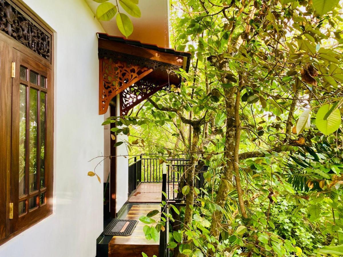 Nature Will Ahangama Exterior photo